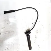 Subaru Legacy Ignition plug leads 