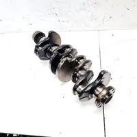 Peugeot 406 Crankshaft 