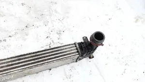 Ford Galaxy Chłodnica powietrza doładowującego / Intercooler 7M0145805