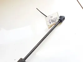 Audi Q7 4L Tailgate/trunk strut/damper 4l0827552