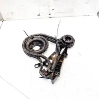 Ford Focus Timing chain (engine) 