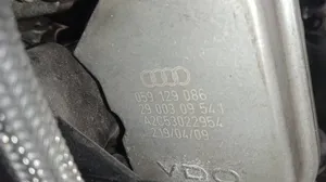 Audi A6 S6 C6 4F Sklendės valdymo varikliukas 059129086