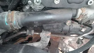 Volkswagen Golf V Tuyau de liquide de refroidissement moteur 038121132D