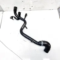 Volkswagen PASSAT B5.5 Engine coolant pipe/hose 