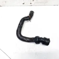 Volkswagen PASSAT B5.5 Engine coolant pipe/hose 