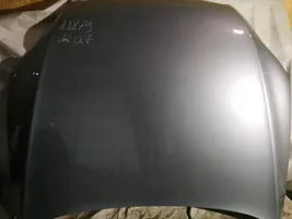 Audi Q7 4L Engine bonnet/hood pilkas