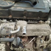 Volkswagen PASSAT B6 Chłodnica spalin EGR 03g131513j