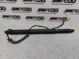 BMW X6 E71 Muelle amortiguador puerta trasera 7332698