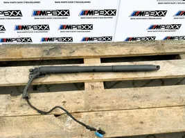 BMW 3 F30 F35 F31 Tailgate strut 7432373