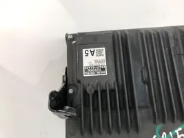 Toyota RAV 4 (XA50) Unité de commande, module ECU de moteur 896614AA50