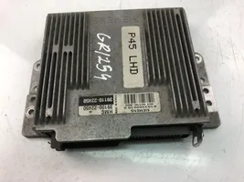 Hyundai Accent Блок управления двигателем ECU 3910022450