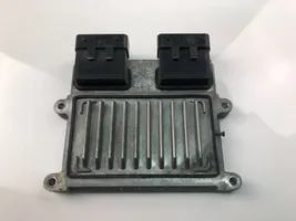 Hyundai Grandeur Centralina/modulo motore ECU 391103C320