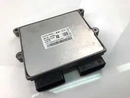 Hyundai Grandeur Centralina/modulo motore ECU 391103C320