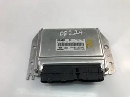 Hyundai Santa Fe Galios (ECU) modulis 3910127952