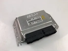 Hyundai Santa Fe Galios (ECU) modulis 3910127952