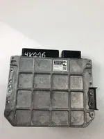 Toyota RAV 4 (XA40) Centralina/modulo motore ECU 8966142J50