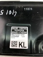 Toyota C-HR Unité de commande, module ECU de moteur 89661F4250