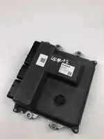 Volvo XC60 Centralina/modulo motore ECU 32313937