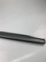 Volvo S90, V90 Rivestimento modanatura del vetro della portiera anteriore 31699325