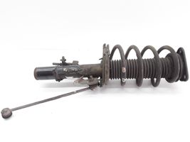 Ford C-MAX II Front shock absorber with coil spring 