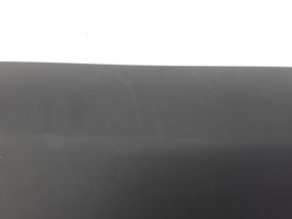 Mercedes-Benz Sprinter W906 Front door trim (molding) A9066900162