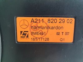 Mercedes-Benz E W211 Zemo frekvenču skaļrunis A2118202902