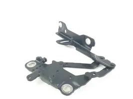 BMW 1 F20 F21 Cerniere del vano motore/cofano 139896