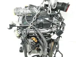 Seat Ibiza III (6L) Dzinējs BMS