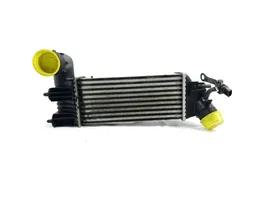 Peugeot 406 Chłodnica powietrza doładowującego / Intercooler 864223E