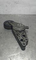 Volkswagen PASSAT B5 Napinacz paska alternatora 058903133A