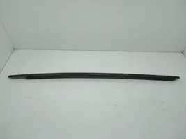 Fiat Freemont Front door glass trim molding 05076857AF