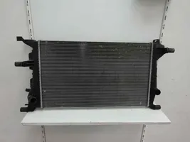 Renault Megane III Coolant radiator 