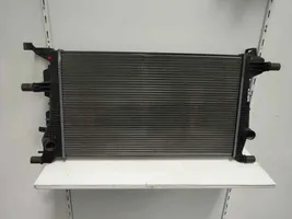 Renault Megane III Coolant radiator 