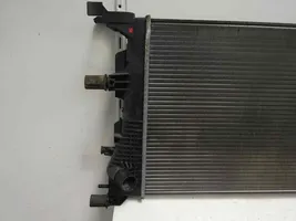 Renault Megane III Coolant radiator 