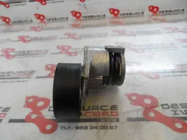 Renault Megane III Generator/alternator belt tensioner 