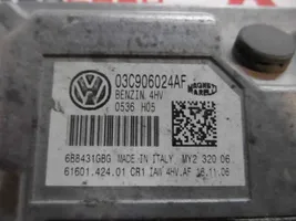 Seat Cordoba (6L) Sterownik / Moduł ECU 03C906024AF