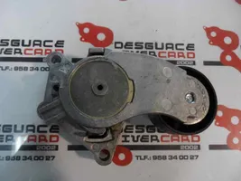 Ford Focus Generator/alternator belt tensioner 