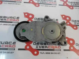 Citroen C3 Pluriel Tendicinghia generatore/alternatore 