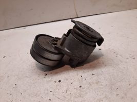 Renault Megane II Napinacz paska wielorowkowego / Alternatora 6280101