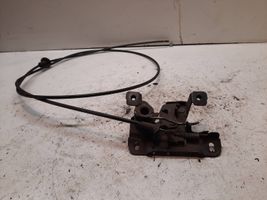 Audi A3 S3 8L Chiusura/serratura vano motore/cofano 810823509