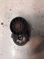 Ford Focus Napinacz paska wielorowkowego / Alternatora 