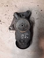 Ford Focus Napinacz paska wielorowkowego / Alternatora 419484