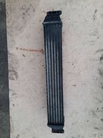 Volkswagen Sharan Radiatore intercooler 7M3145805