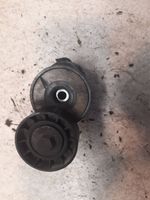 Opel Signum Napinacz paska wielorowkowego / Alternatora TF058E