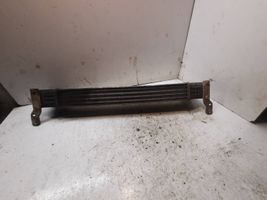 Ford Galaxy Chłodnica powietrza doładowującego / Intercooler 132002748a