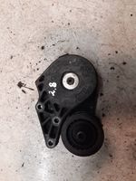 Ford Galaxy Napinacz paska wielorowkowego / Alternatora 021145299B