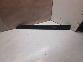 Renault Megane II Rear door trim (molding) 8200073473