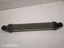 Mercedes-Benz B W245 Chłodnica powietrza doładowującego / Intercooler A1695000000