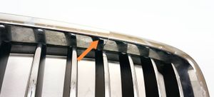 BMW 5 GT F07 Grille de calandre avant 51137200167