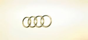 Audi Q5 SQ5 Emblemat / Znaczek tylny / Litery modelu 